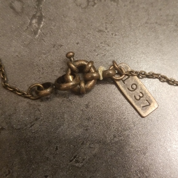 Long Shell Necklace - Picture 3 of 3